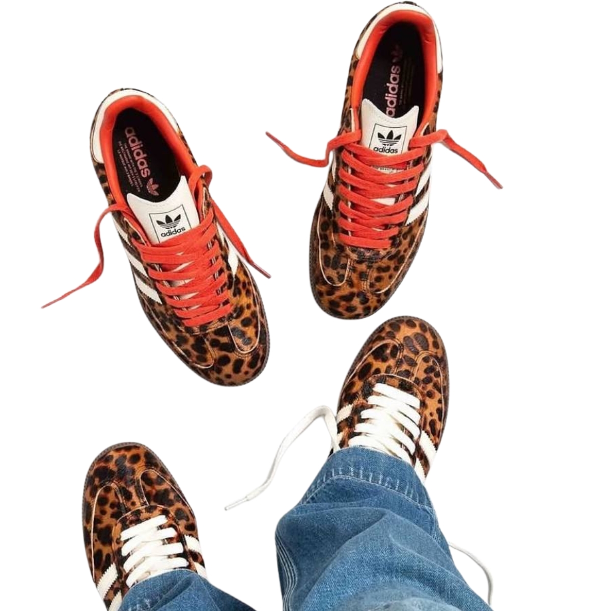 Zapatillas adidas samba mujer leopardo de uso diario en Villamaría Caldas Colombia. Compra en onlineshoppingcenterg con envío rápido y pago contraentrega.